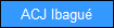 ACJ Ibagu