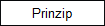 Prinzip