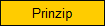 Prinzip